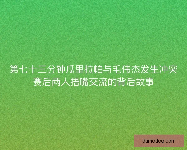 第七十三分钟瓜里拉帕与毛伟杰发生冲突赛后两人捂嘴交流的背后故事