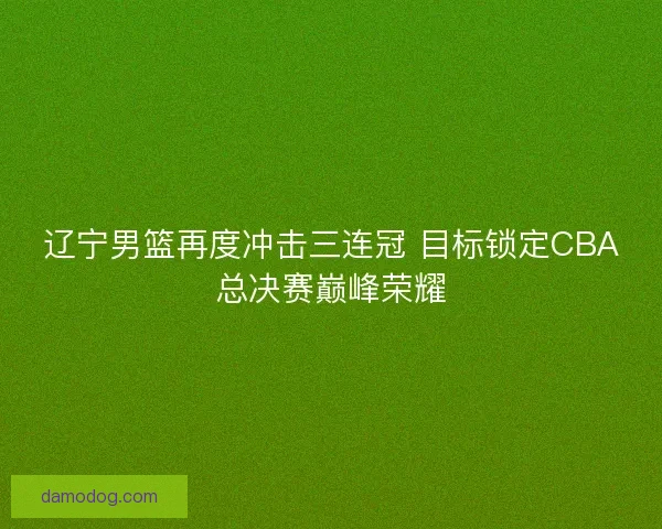 辽宁男篮再度冲击三连冠 目标锁定CBA总决赛巅峰荣耀